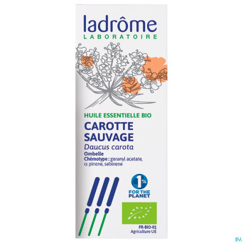 Ladrome carotte sauvage 5ml