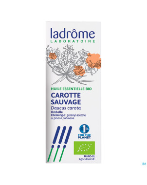 Ladrome carotte sauvage 5ml