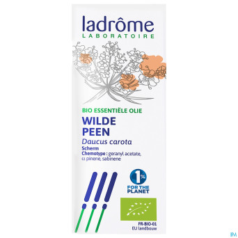 Ladrome carotte sauvage 5ml