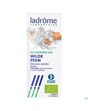Ladrome carotte sauvage 5ml
