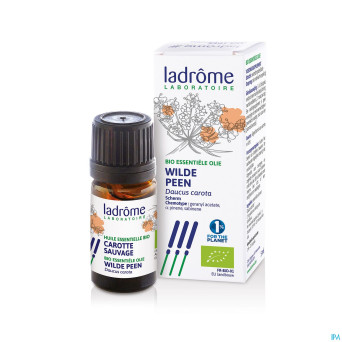 Ladrome carotte sauvage 5ml