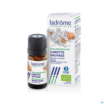 Ladrome carotte sauvage 5ml