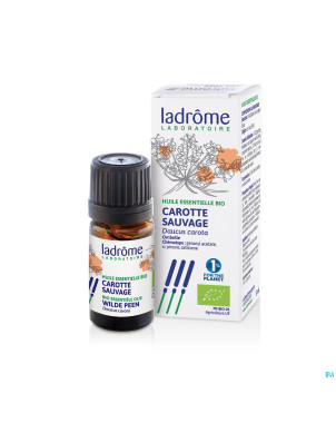 Ladrome carotte sauvage 5ml