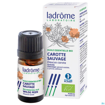 Ladrome carotte sauvage 5ml