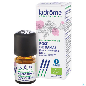 Ladrome rose damas 2ml