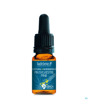 Ladrome pin/pine 10ml