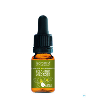 Ladrome eglantier/wild rose 10ml