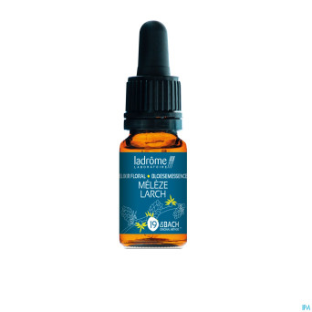 Ladrome meleze europe/larch 10ml