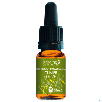 Ladrome olivier/olive 10ml