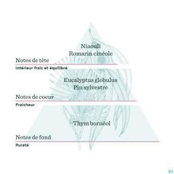 De saint hilaire compl.diff souffle frais bio 30ml