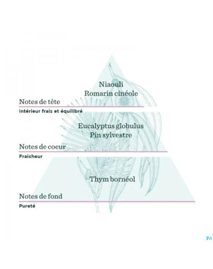 De saint hilaire compl.diff souffle frais bio 30ml