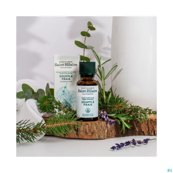 De saint hilaire compl.diff souffle frais bio 30ml