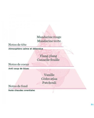 De saint hilaire compl.diff voyage orient.bio 30ml