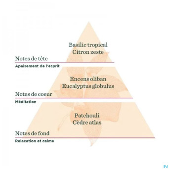 De saint hilaire complex diff esprit yoga bio 30ml