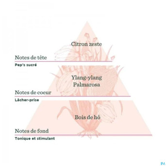 De saint hilaire compl.diff gourm.estivale bio30ml