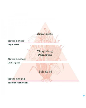 De saint hilaire compl.diff gourm.estivale bio30ml