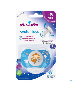Luc&lea sucette nuit ana 18m+ singe anneau