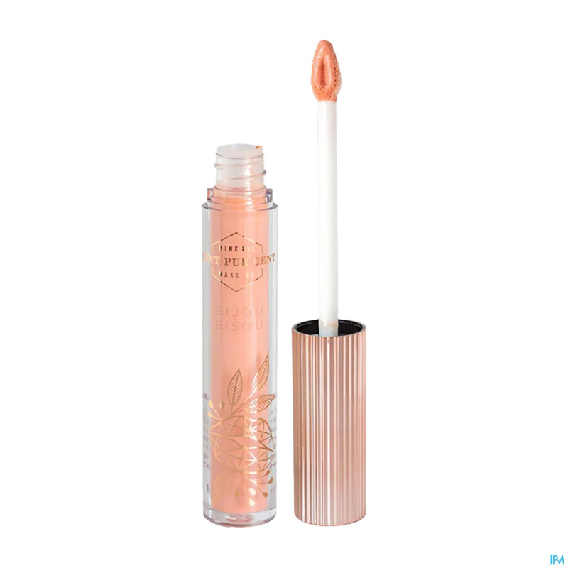 Cent pur cent lipgloss embrasse moi    3ml