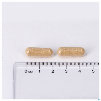 Zenivits caps 60 lepivits