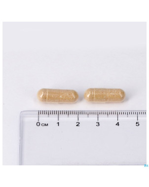 Zenivits caps 60 lepivits