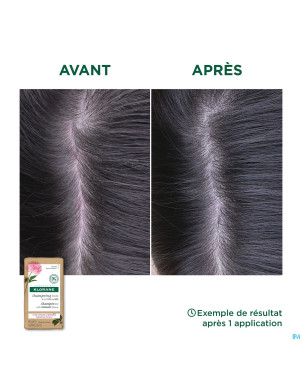 Klorane capil. sh solide pivoine    80g