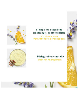 Furterer head spa complex 5 conc.stimulant 50ml nf