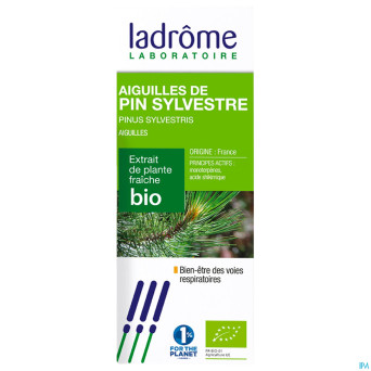Extr. plante fraiche aiguilles pin sylvestre  50ml
