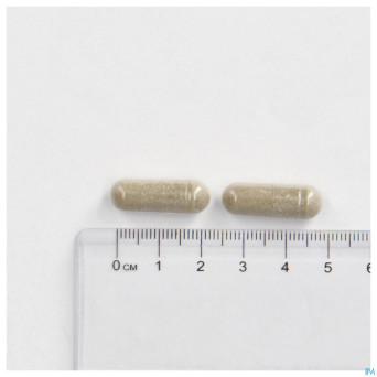 Cogniton plus energy la    caps 90