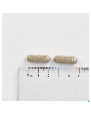 Cogniton plus energy la    caps 90