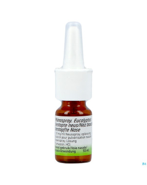 Rhinospray+eucal.nez bouche 1,18mg/ml spr nas.10ml