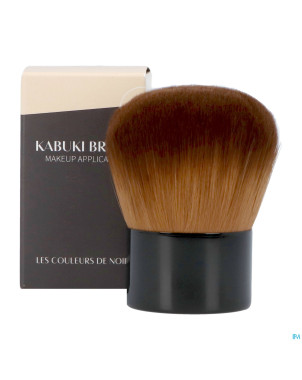 Couleurs de noir pinceau 13 kabuki poudre