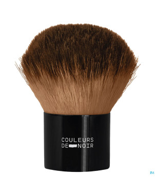 Couleurs de noir pinceau 13 kabuki poudre