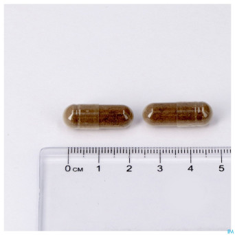 Memoryvits caps 60 lepivits