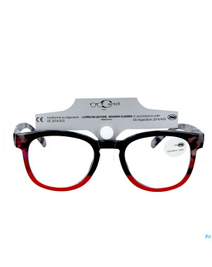 Cartel loupe lecture pretty 2.5 asie