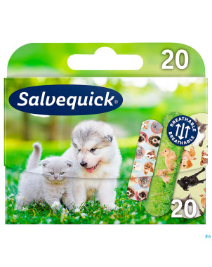 Salvequick animal planet pansements    20
