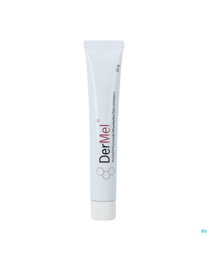 Dermel pommade peau    tube 50g