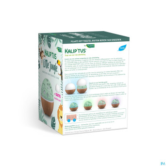 Kalip'tus diffuseur little jungle
