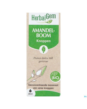 Herbalgem amande do bio    30ml