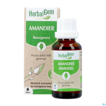 Herbalgem amande do bio    30ml