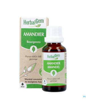 Herbalgem amande do bio    30ml