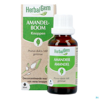 Herbalgem amande do bio    30ml
