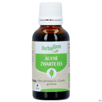 Herbalgem aulne glut bio    30ml