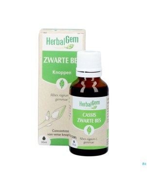 Herbalgem cassis bio    30ml