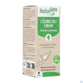 Herbalgem cedre bio    30ml
