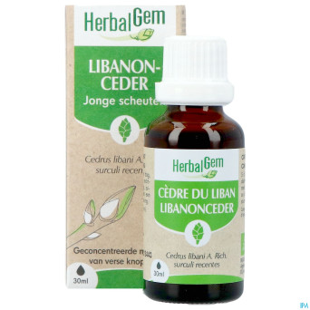 Herbalgem cedre bio    30ml