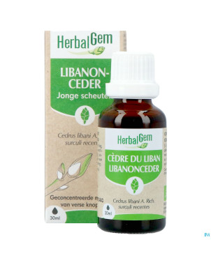 Herbalgem cedre bio    30ml