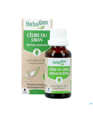 Herbalgem cedre bio    30ml