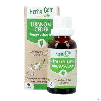 Herbalgem cedre bio    30ml