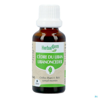 Herbalgem cedre bio    30ml