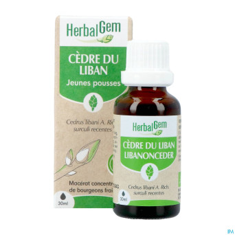 Herbalgem cedre bio    30ml